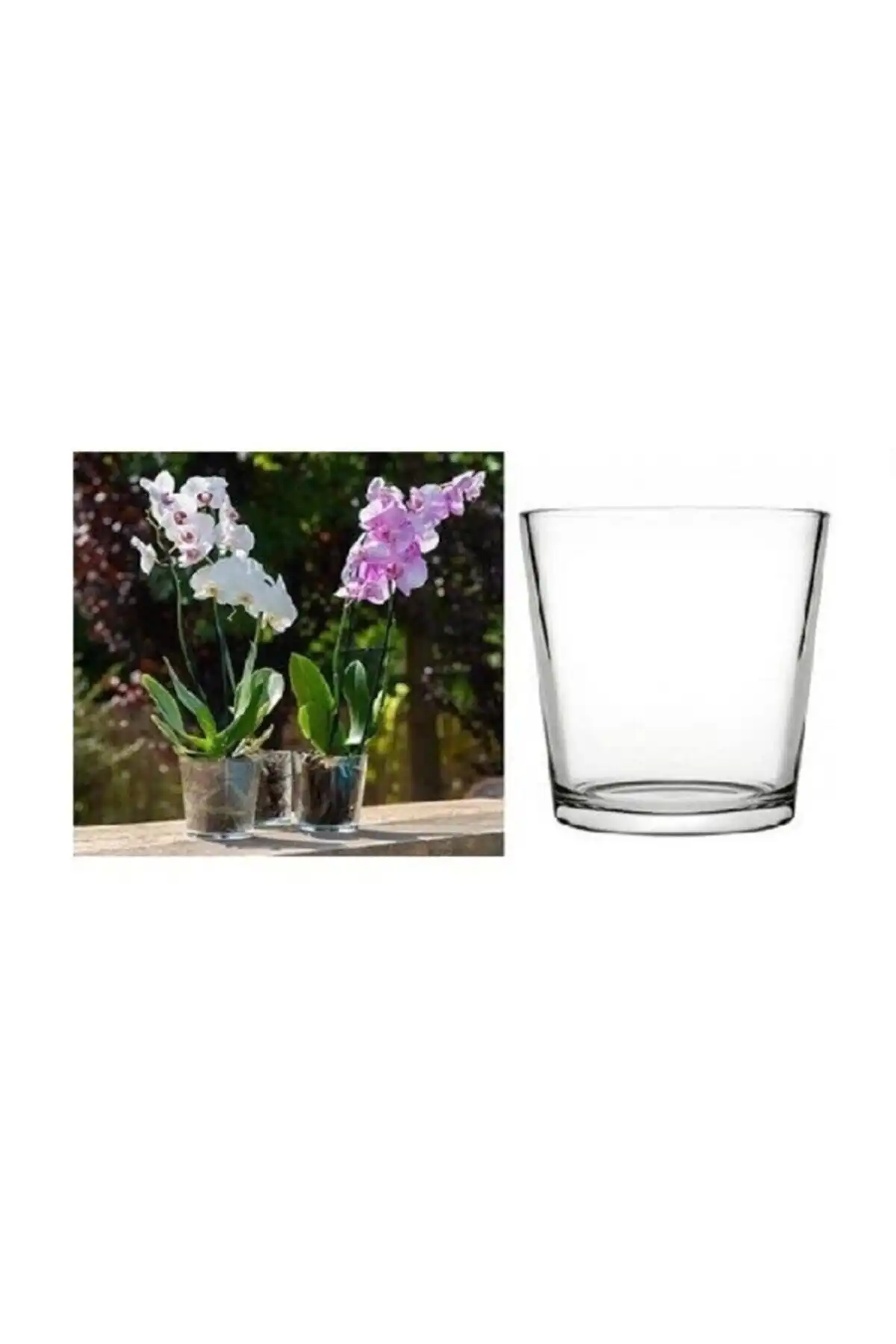 Paşabahçe 53827 Botanica Orkide Vazosu: Estetik ve İşlevsellik