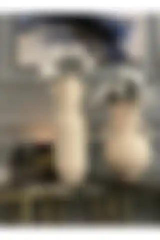 AstreHome El Yapımı Uzun Dekoratif Seramik Vazo Seti ile Evinizi Güzelleştirin