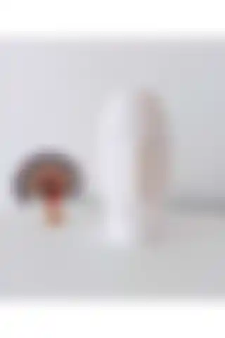 Aylin Home Dekoratif Uzun Yüz Vazo ile Modern İç Mekan Tasarımı