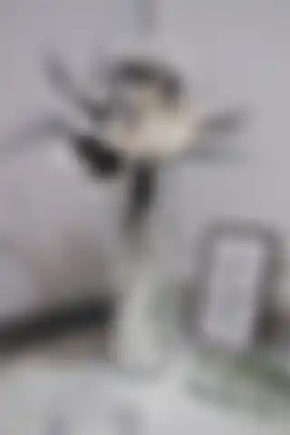 HOMİLA 60 Cm Beyaz (Gümüş) Aynalı Vazo: Estetik ve Modern Tasarım