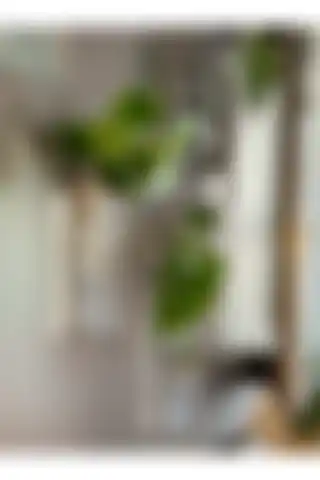 Mıknatıslı Dekoratif Cam Vazo ile Evinizi Şıklaştırın