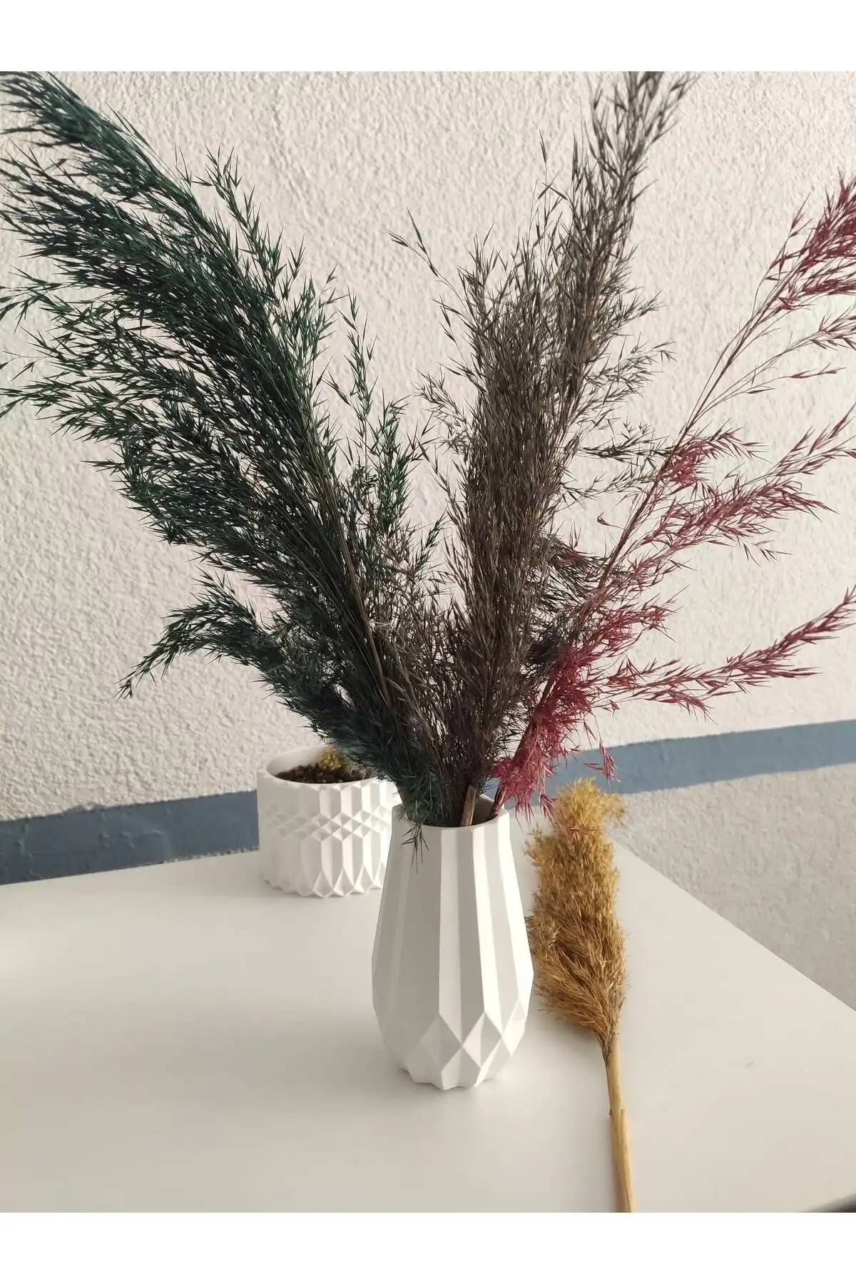 ROLLOR Pampas Vazosu ile Evinizde Zarafet ve Estetik Yaratın