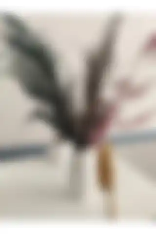 ROLLOR Pampas Vazosu ile Evinizde Zarafet ve Estetik Yaratın
