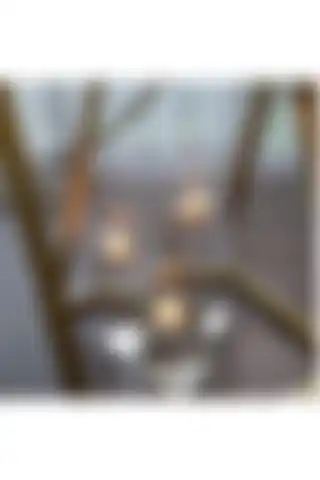GLASSY 3'lü Cam Silindir Set: Şıklık ve Estetik İçin Ideal Seçim