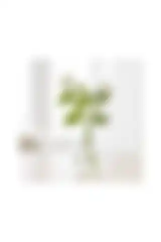 IKEA Cam Vazo Vıljestark ile Dekorasyonunuza Estetik Bir Dokunuş