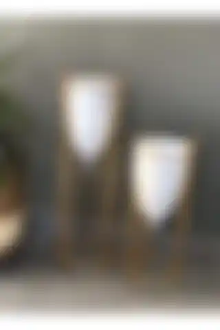 Tasarım Evi Dekoratif 2'li Krom Kaplı Çiçeklik Saksılık Ürün İncelemesi