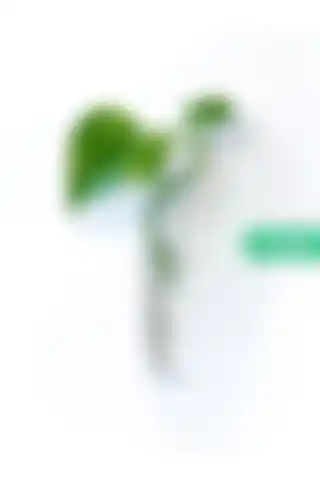 Noue Store Mıknatıslı Dekoratif Cam Vazo ile Modern Tasarımın Keyfini Çıkarın