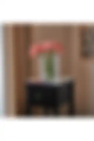 Paşabahçe Dekoratif Kendinden Gravürlü Vazo ile Şıklığı Yakalayın