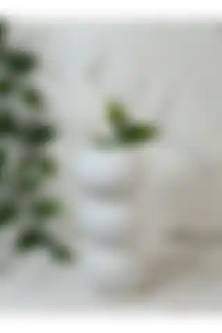 YAYBOX El Yapımı Beyaz Dekoratif Vazo ile Minimalist Tasarım